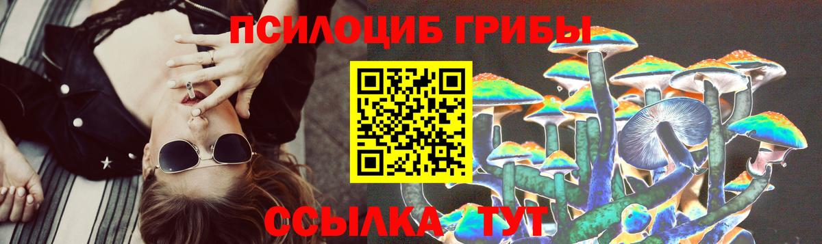 Псилоцибиновые грибы Psilocybine cubensis  Вход с VPN  Ивантеевка 