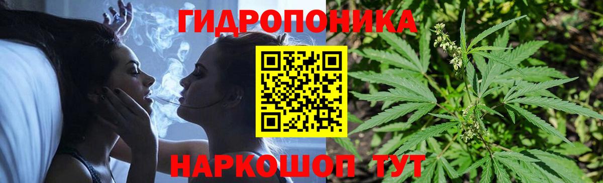 Бошки марихуана сатива  МАРИХУАНА тримм  Ивантеевка  Канабис LSD WEED  Вход с VPN  Бошки марихуана Bruce Banner 